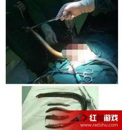 黄鳝在线视频国产,黄鳝在线视频引领国产娱乐新潮流