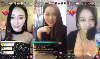 国产主播露出在线,在线直播中的魅力瞬间