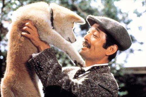 忠犬电影国产在线观看