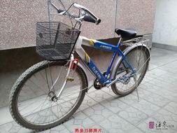 国产自行车在线,绿色出行，民族骄傲的骑行之旅